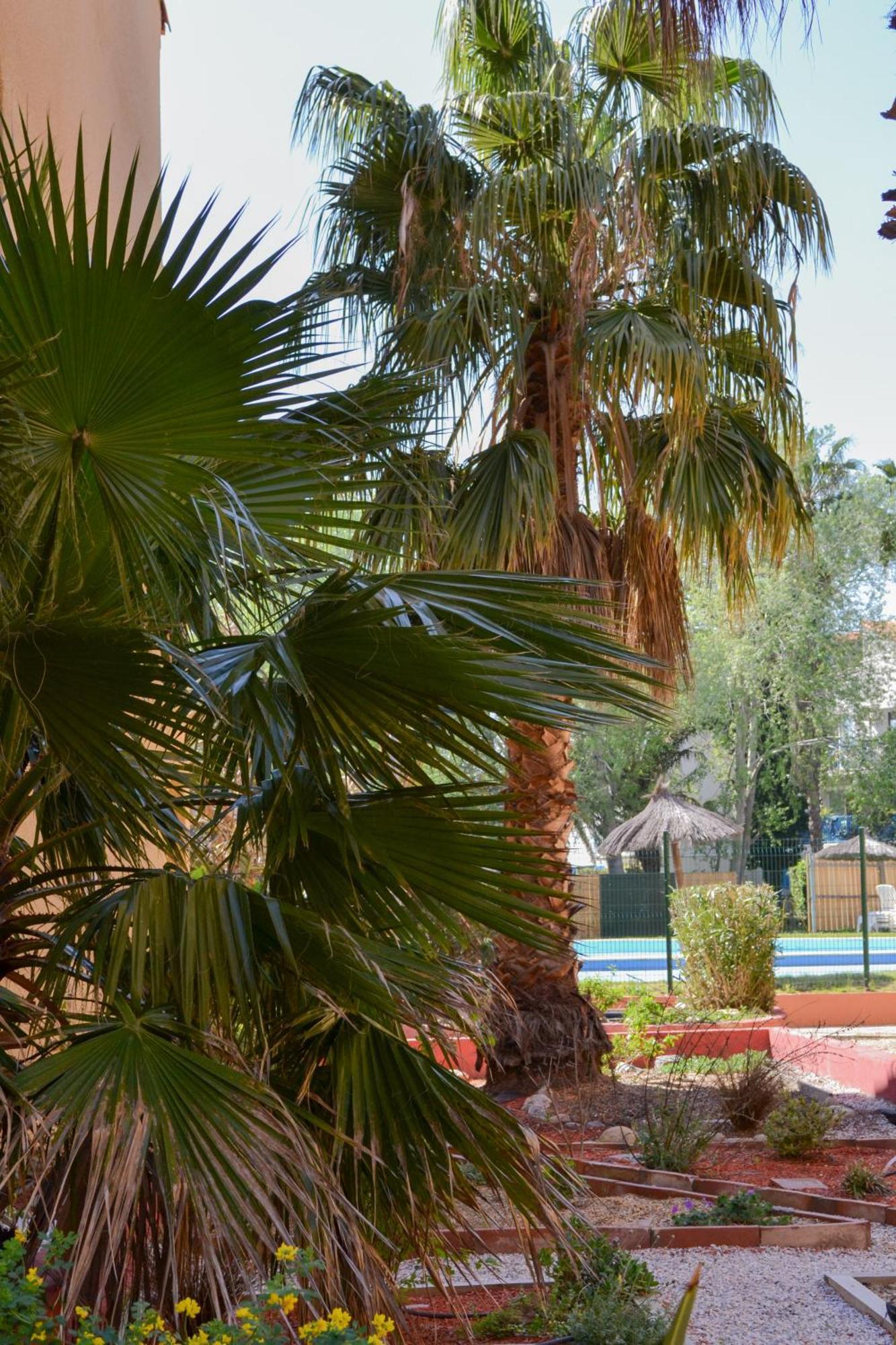 Malibu Village Canet Exterior foto